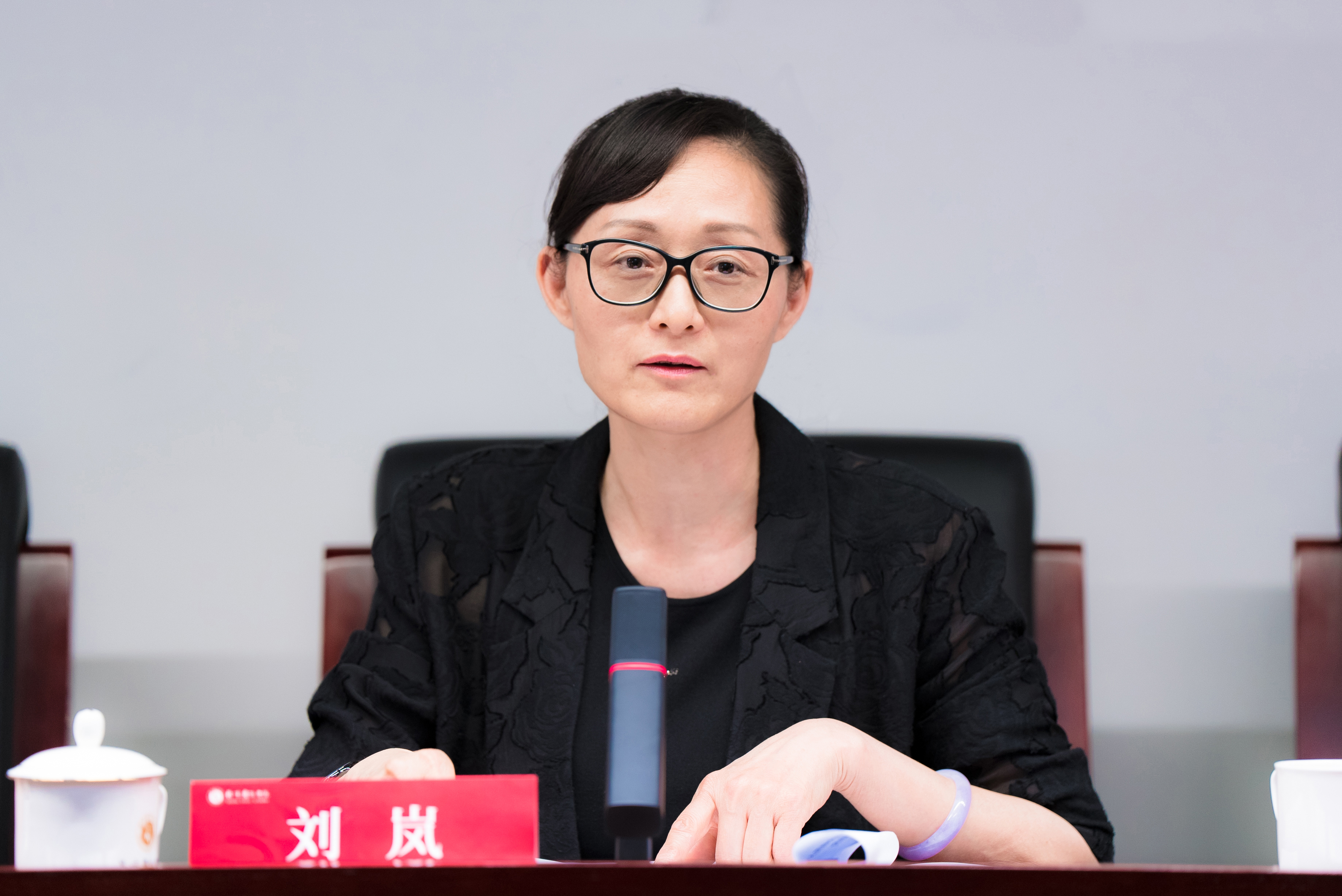 刘岚书记0.jpg