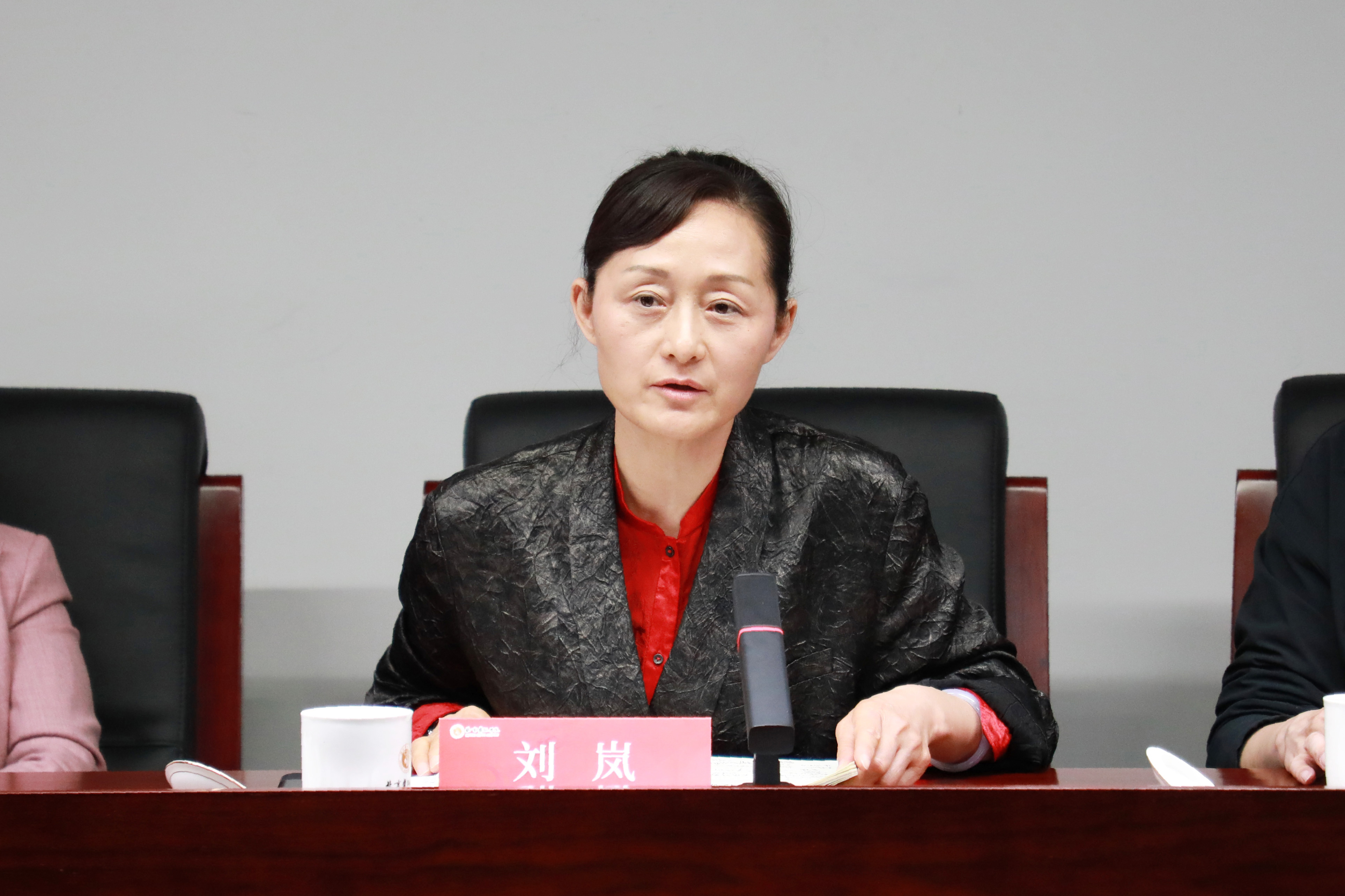 刘岚.jpg
