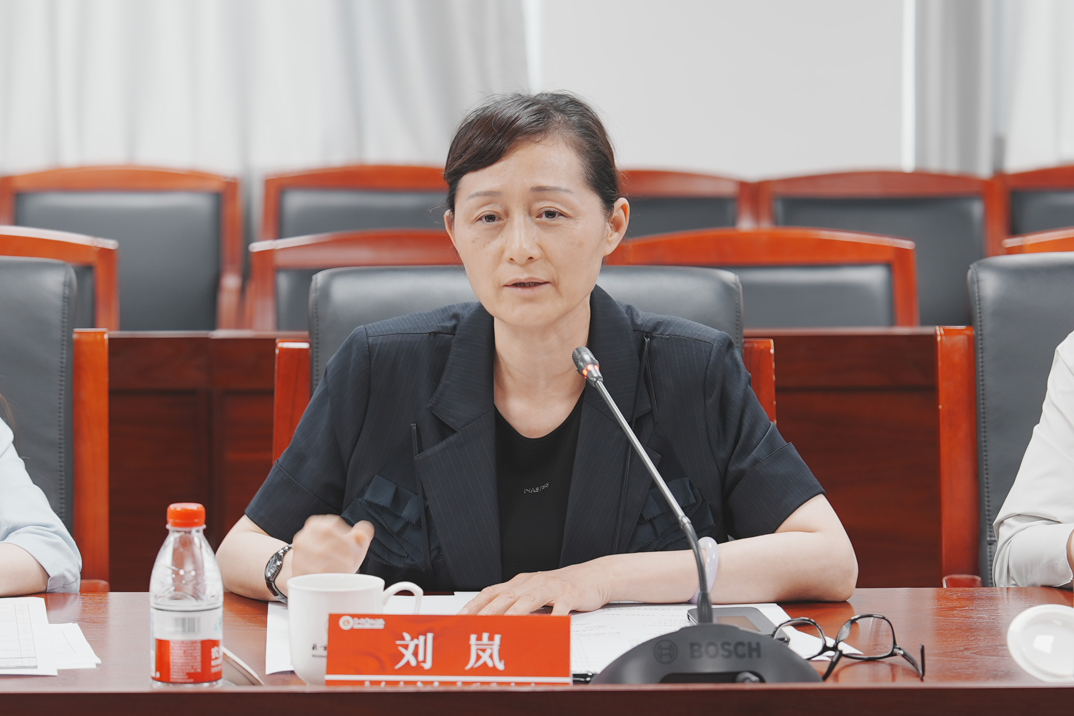 刘岚.jpg